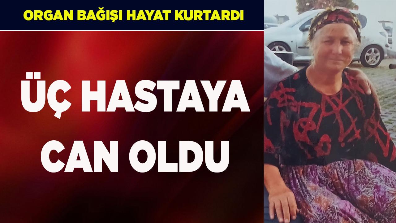 Otomatik Taslak