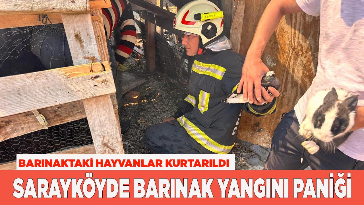 Sarayköyde Barınak Yangını Paniği