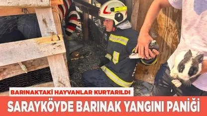 Sarayköyde Barınak Yangını Paniği