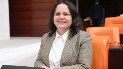 Yeni Doğum İzni, Meclis'te Yasalaştı