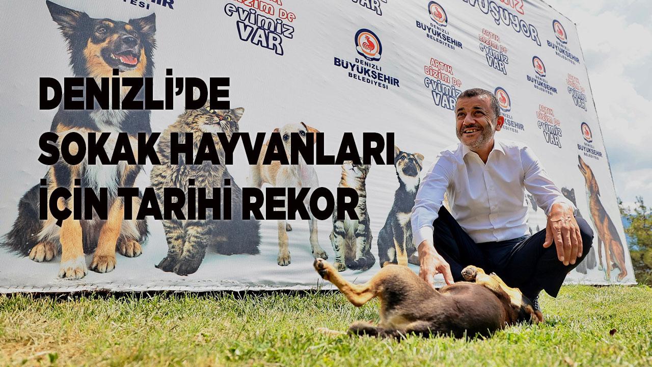 Denizli’de Sokak Hayvanları İçin Tarihi Rekor