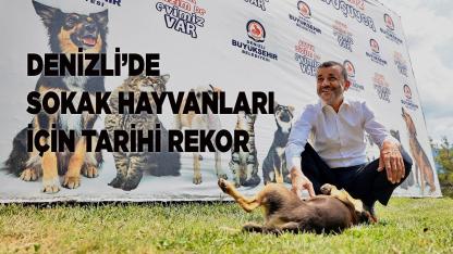 Denizli’de Sokak Hayvanları İçin Tarihi Rekor