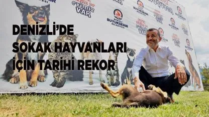 Denizli’de Sokak Hayvanları İçin Tarihi Rekor