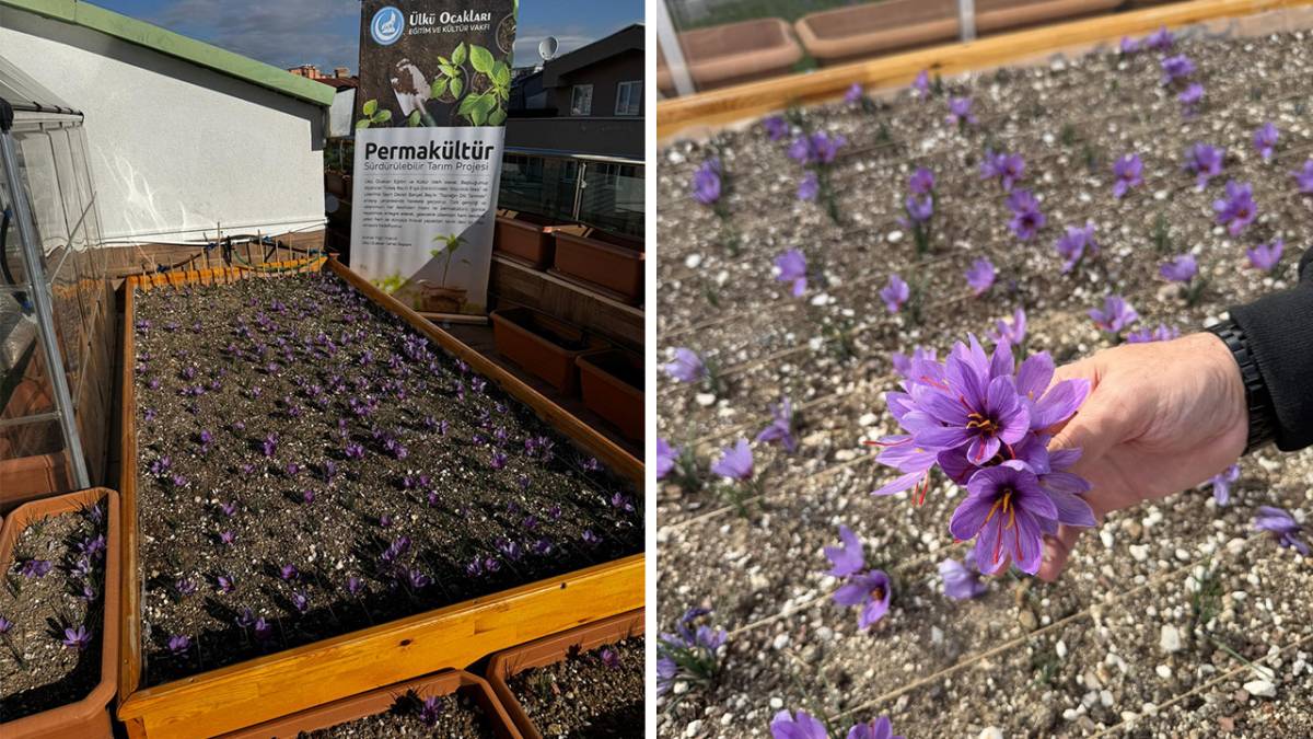 BAŞKAN YILDIRIM’DAN GENÇLERE TOPRAĞA DOKUNUN ÇAĞRISI