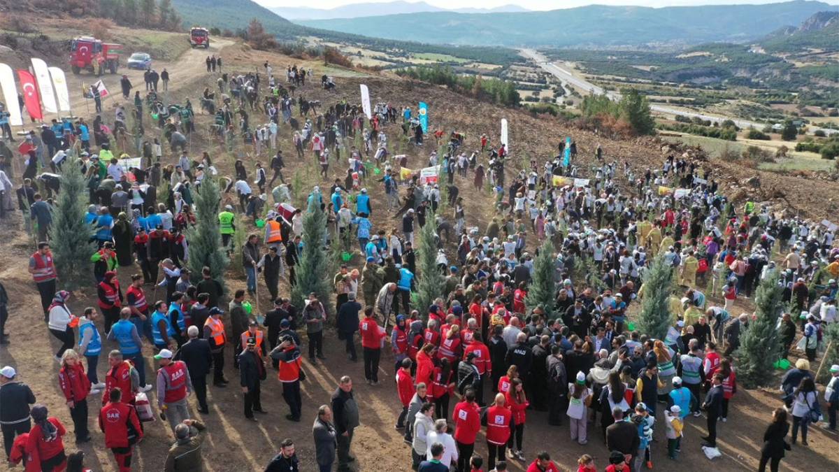 Denizli’de ağaç dikme seferberliği