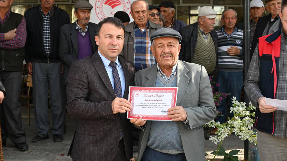 Tavas’ta Zeytin Seferberliği