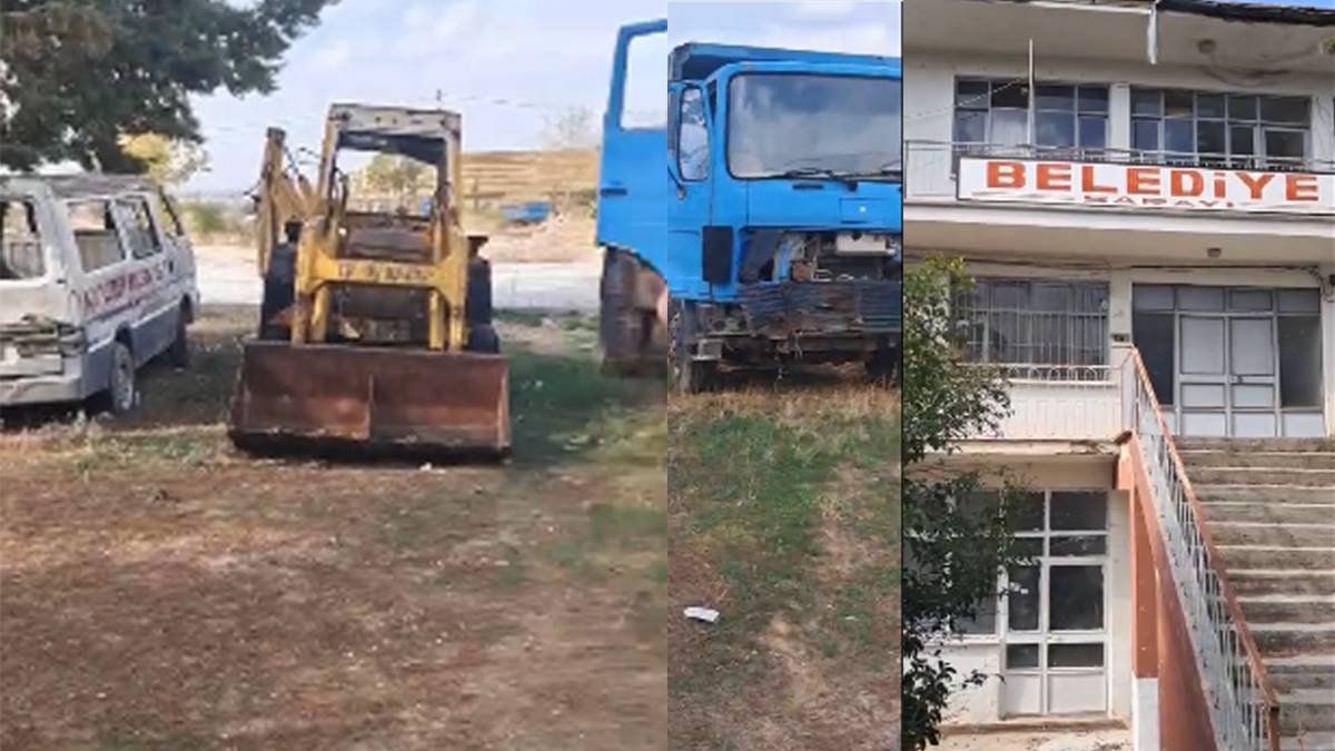 Denizli'de Milli servet çürümeye terk edildi