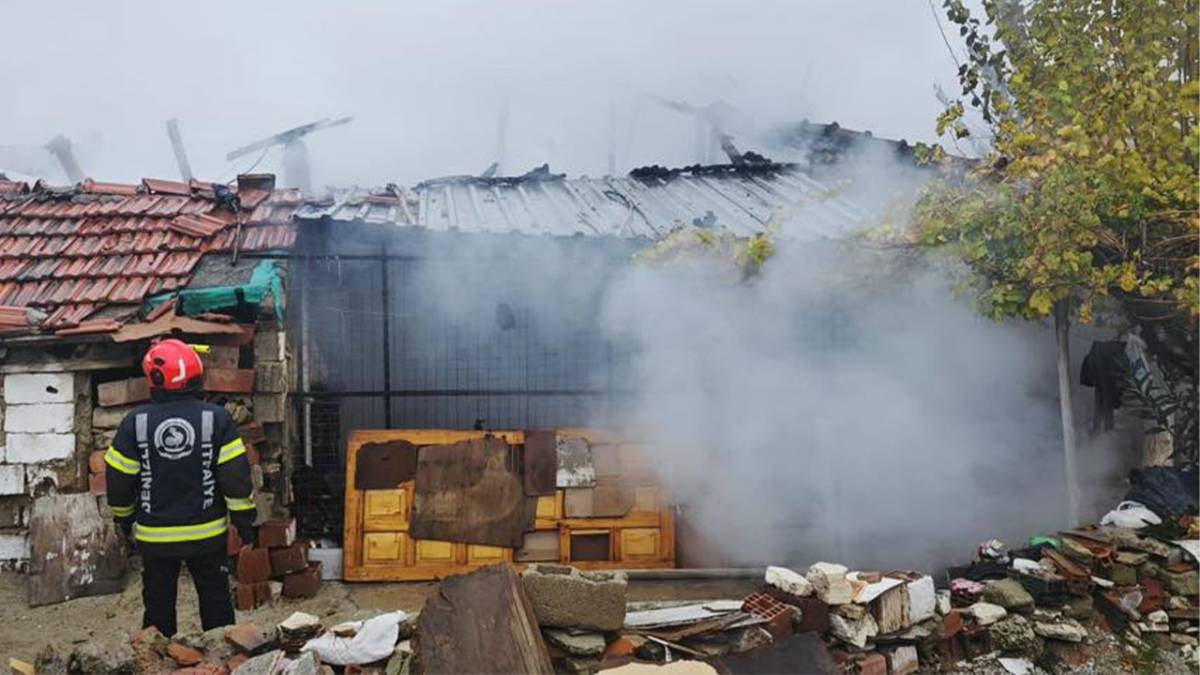 Soğukta evsiz kaldılar