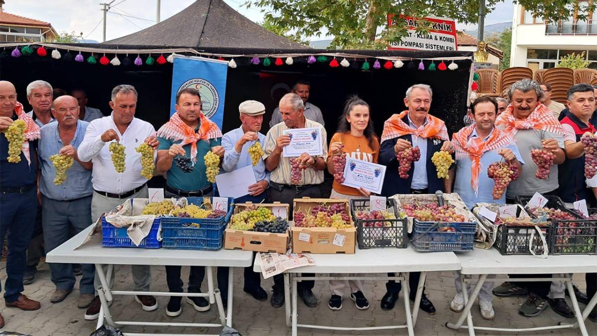 Acıpayam Avşar Üzümü Tesciliyle Ata Mirası Taçlandı