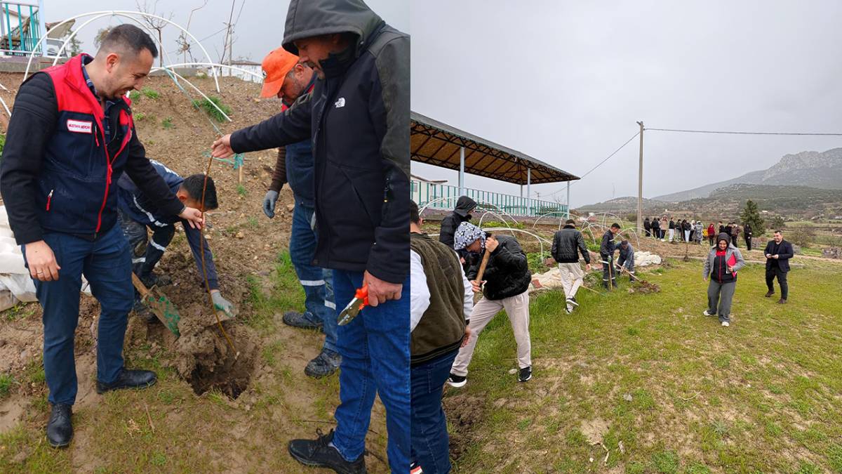 Baklan Kestane Üretiminde Atağa Kalktı