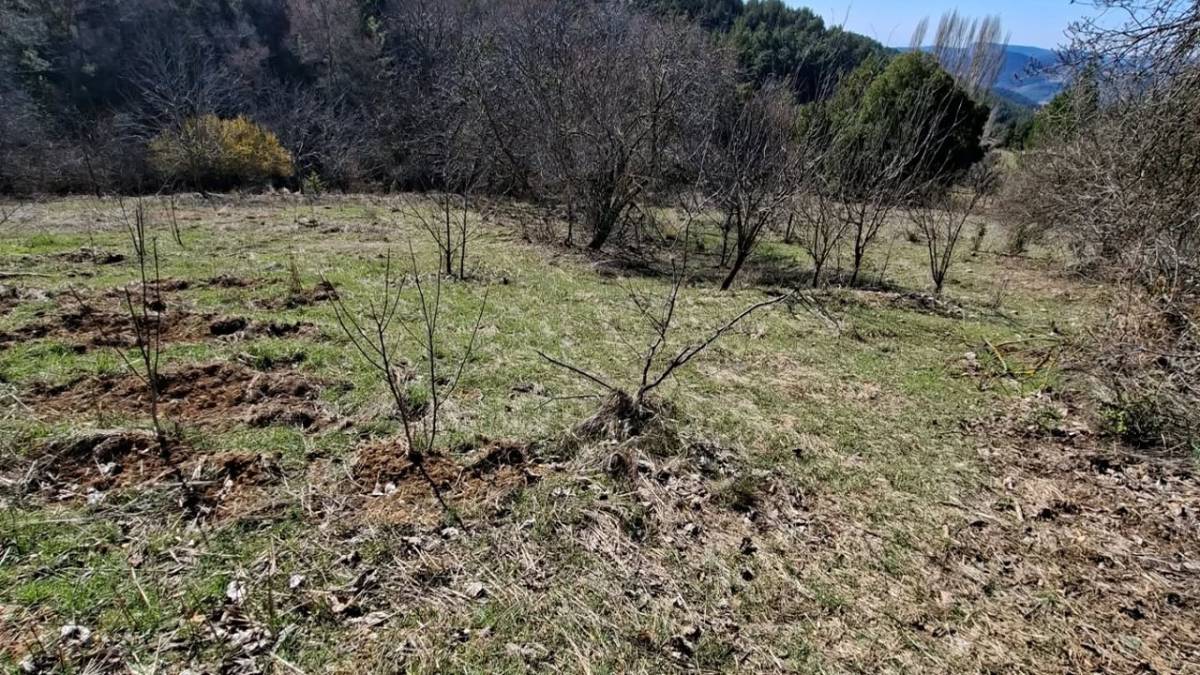 Ziftlik’te Maden İddiası! Bölge Alarmda